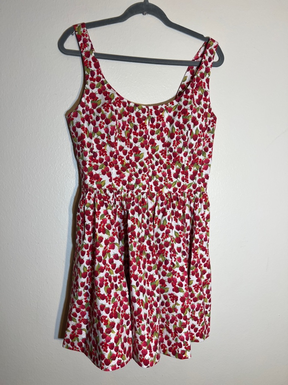 J. Crew NWT Cotton Fit and Flare White Mini Dress with Red Raspberry Print Print